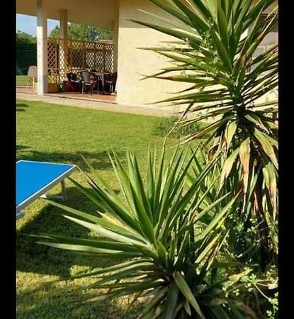 Green Garden Viareggio Kültér fotó